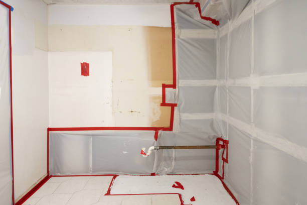 Best Real Estate Mold Inspection  in Aptos Hills Larkin Valley, CA