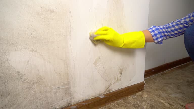 Best Flood Damage  in Aptos Hills Larkin Valley, CA