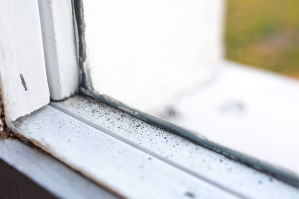 Best Asbestos and Lead Testing During Mold Inspection  in Aptos Hills Larkin Valley, CA