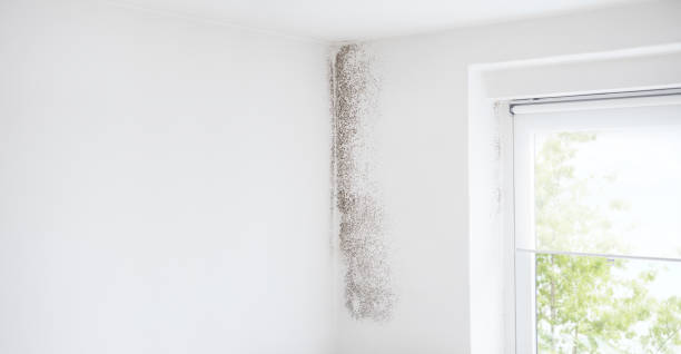 Best Mold Remediation for Healthcare Facilities  in Aptos Hills Larkin Valley, CA