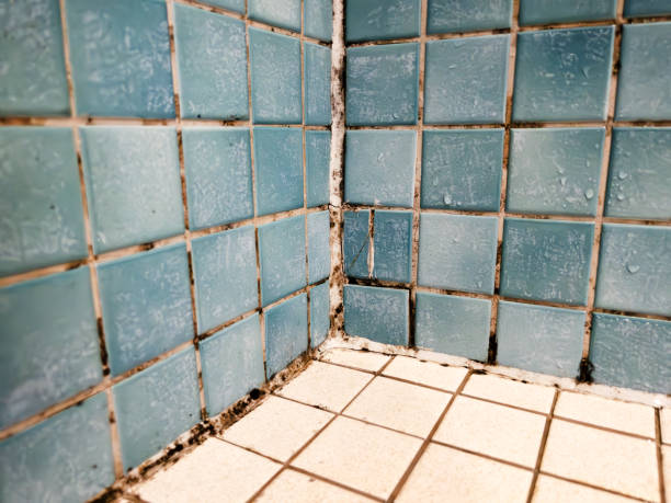 Best Commercial Mold Inspection  in Aptos Hills Larkin Valley, CA